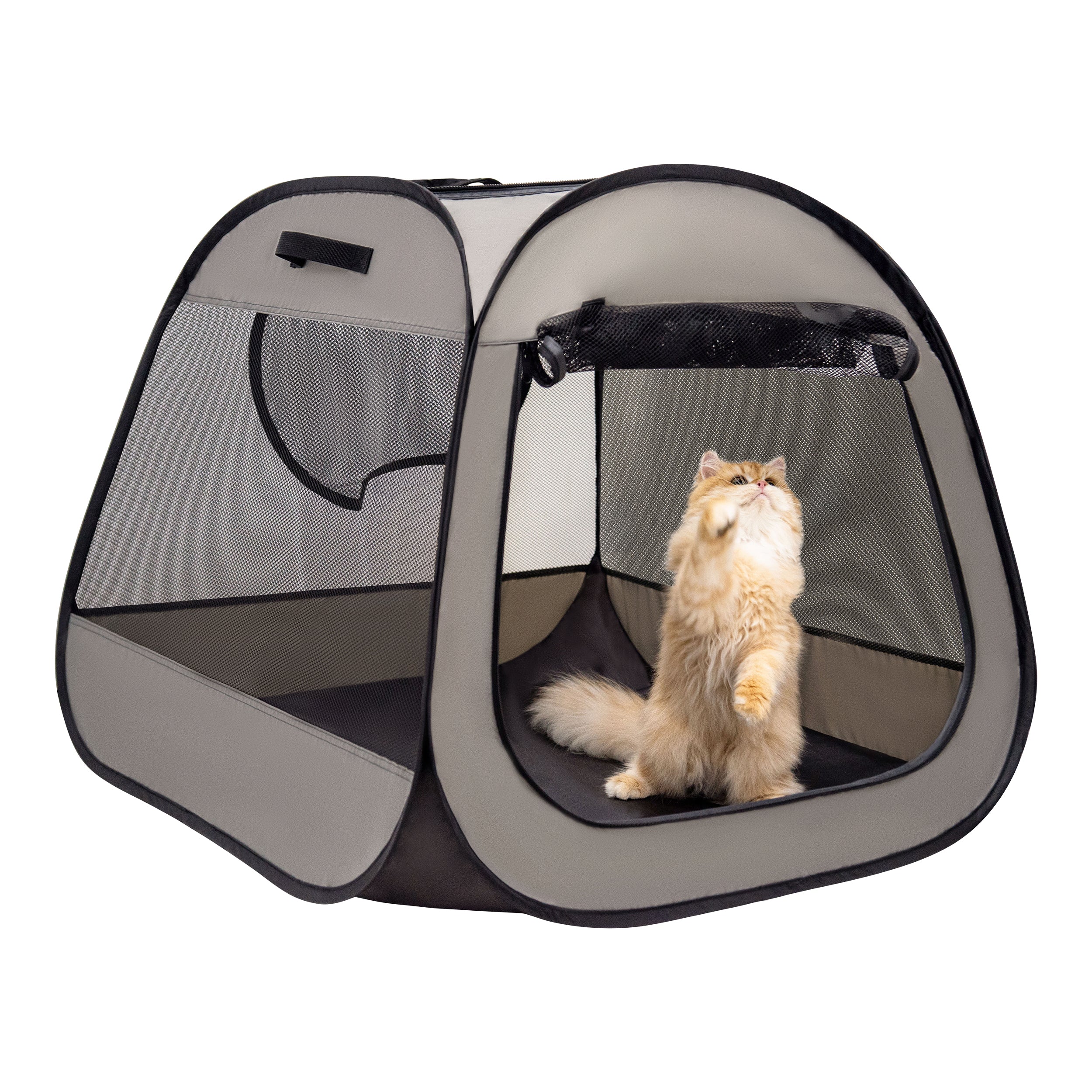 Basic Pet Play Tent.